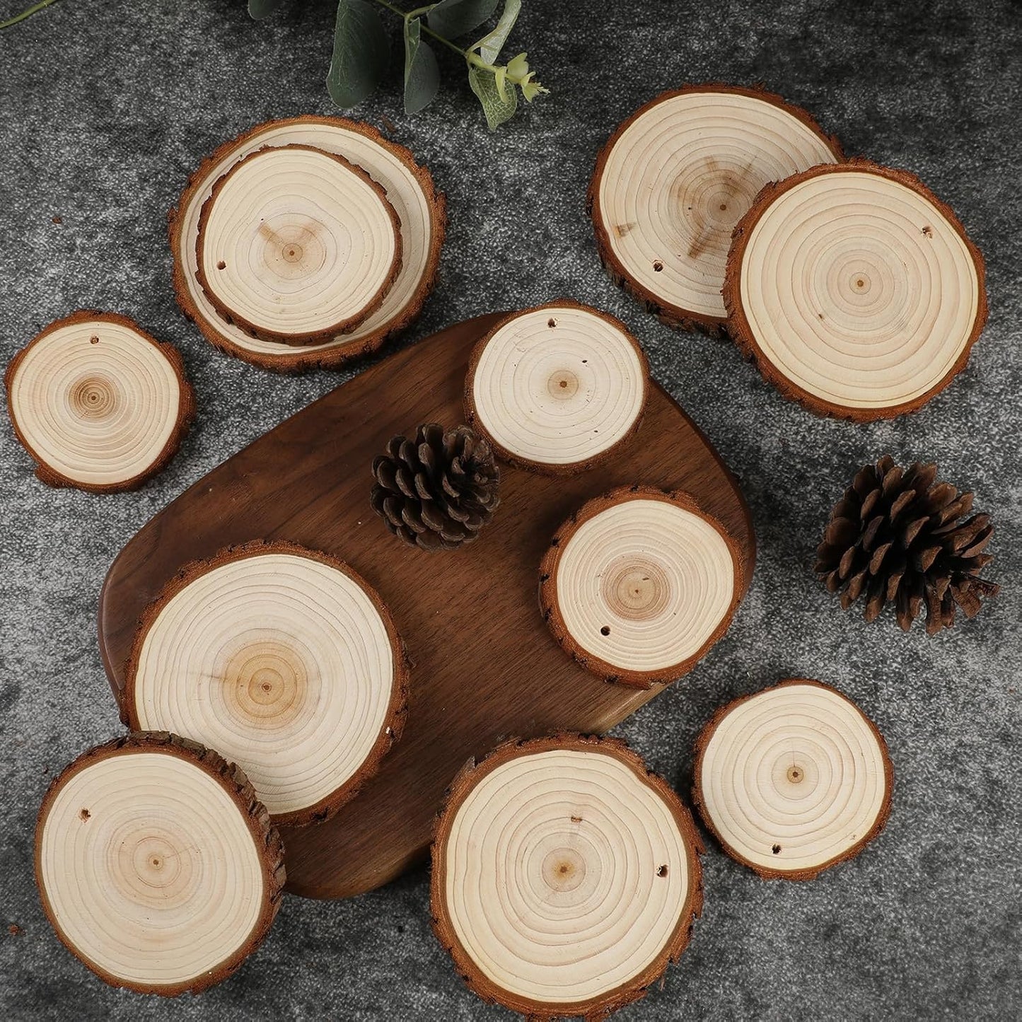 SENMUT Unfinished Wood Slices 30pcs 2.8"-3.0" Wood Circles for Crafts, Predrilled Natural Wood Rounds, Wooden Discs Perfect for DIY, Artistic Creations & Christmas Wood Ornaments for Crafts