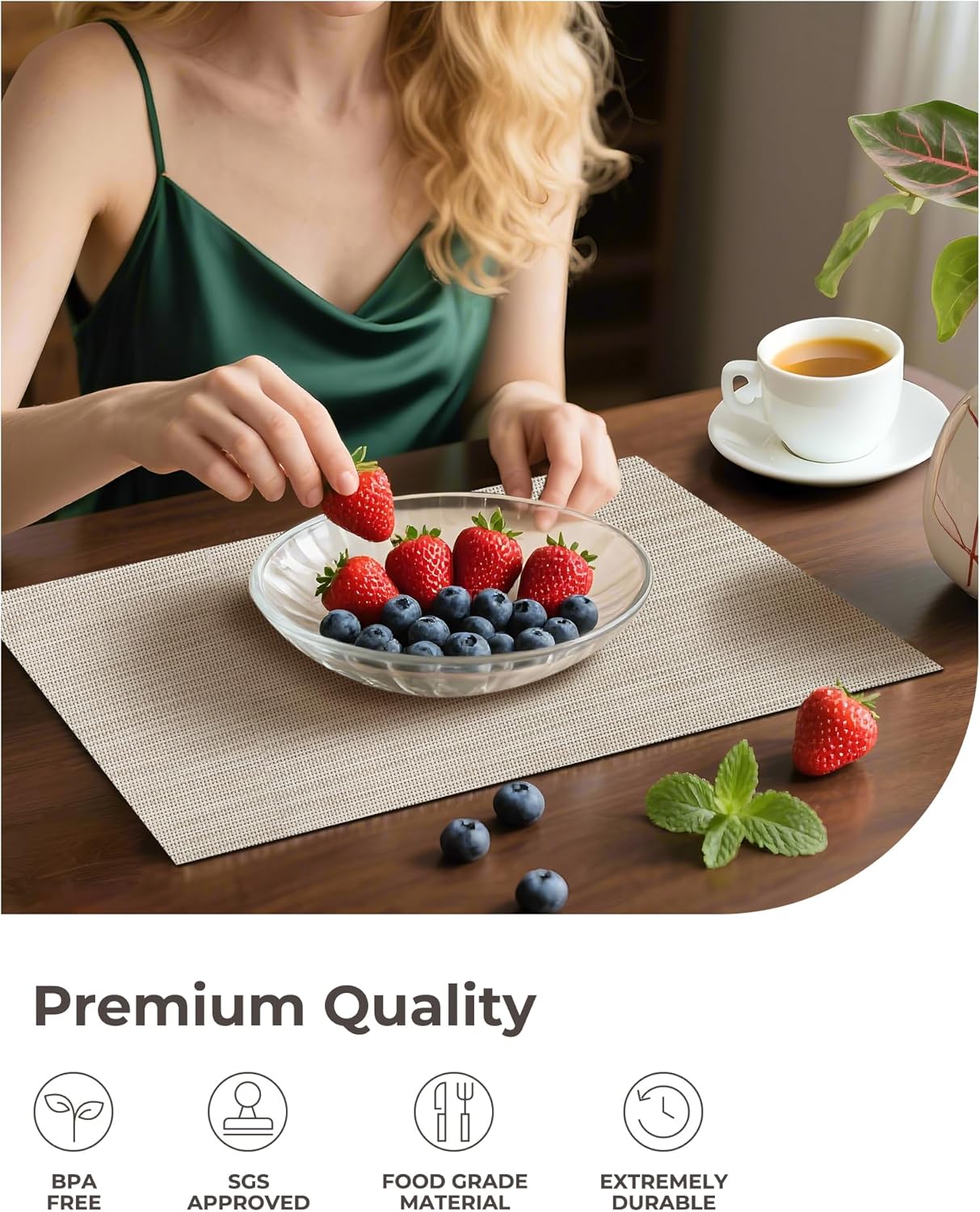 Leetaltree Beige White Placemats Set of 24 - Heat Resistant Non-Slip Place mats for Dining Table, Washable Durable PVC Vinyl Woven Table Mats(Beige White, 24)