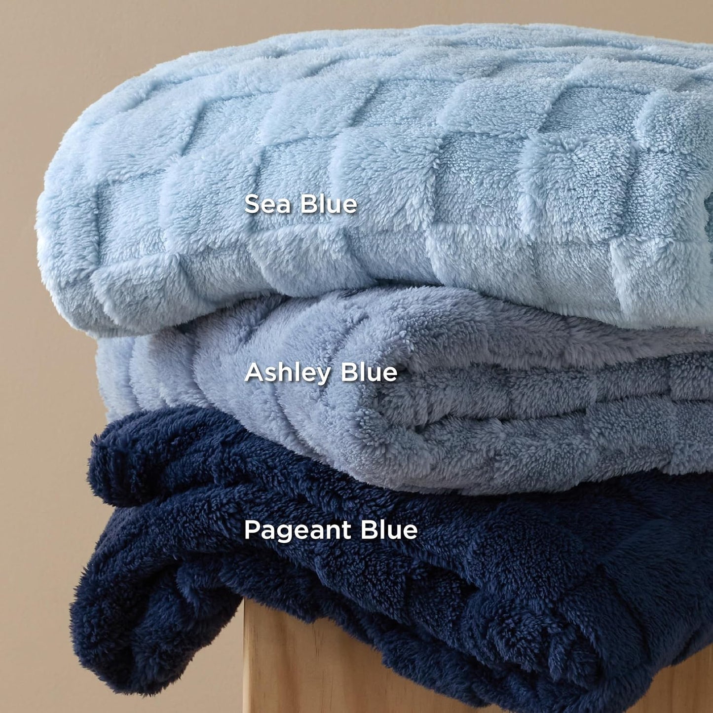 Bedsure GentleSoft Twin Blanket for Bed Ashley Blue - Super Soft Cozy Blankets for Women Men Girls, Cute Fuzzy Fleece Throws for Bedroom Couch, 60x80 Inches