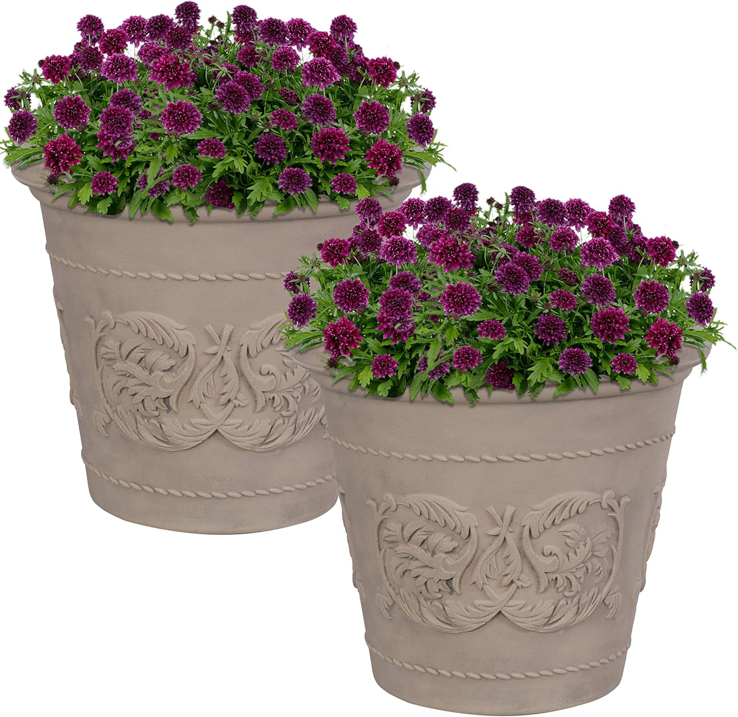 Gardening & Lawn Care