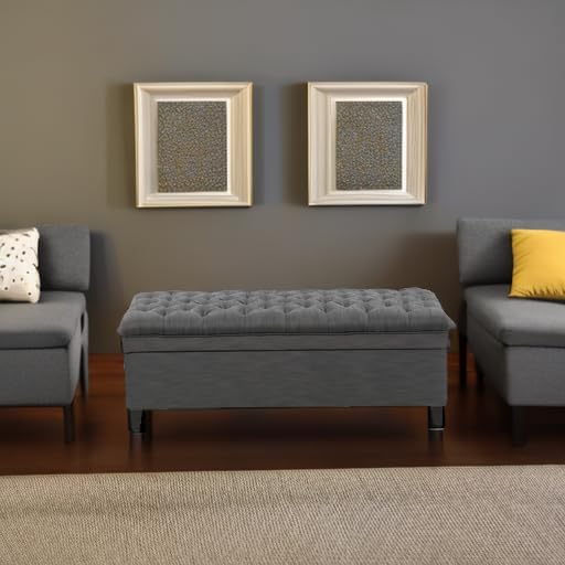 Christopher Knight Home Juliana Fabric Storage Ottoman, Gray