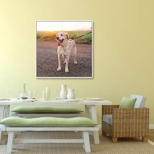 NWT Custom Framed Canvas Prints with Your Photo for Pets, Personalized Canvas Wall Art for Living Room, Bedroom - 24x24 inches