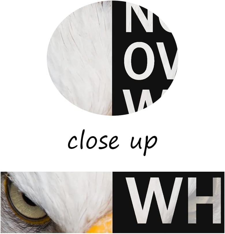 Animal Motivational Canvas Wall Art Animal Inspirational Poster Eagle Print Picture Painting Modern Affirmative Inspiring Artwork for Home Living Room Office Decor Ready to Hang [30''W x 40''H]