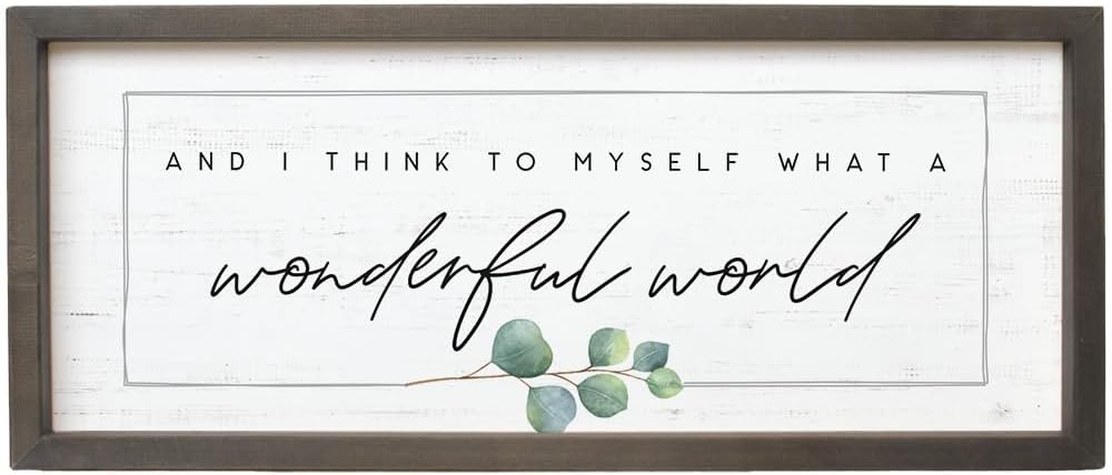 Simply Said, INC Farmhouse Frames What a Wonderful World Wooden Sign, Rustic Framed Wall Art, Inspirational Farmhouse Home Decor, 10 x 24 Inch