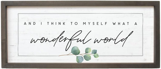 Simply Said, INC Farmhouse Frames What a Wonderful World Wooden Sign, Rustic Framed Wall Art, Inspirational Farmhouse Home Decor, 10 x 24 Inch
