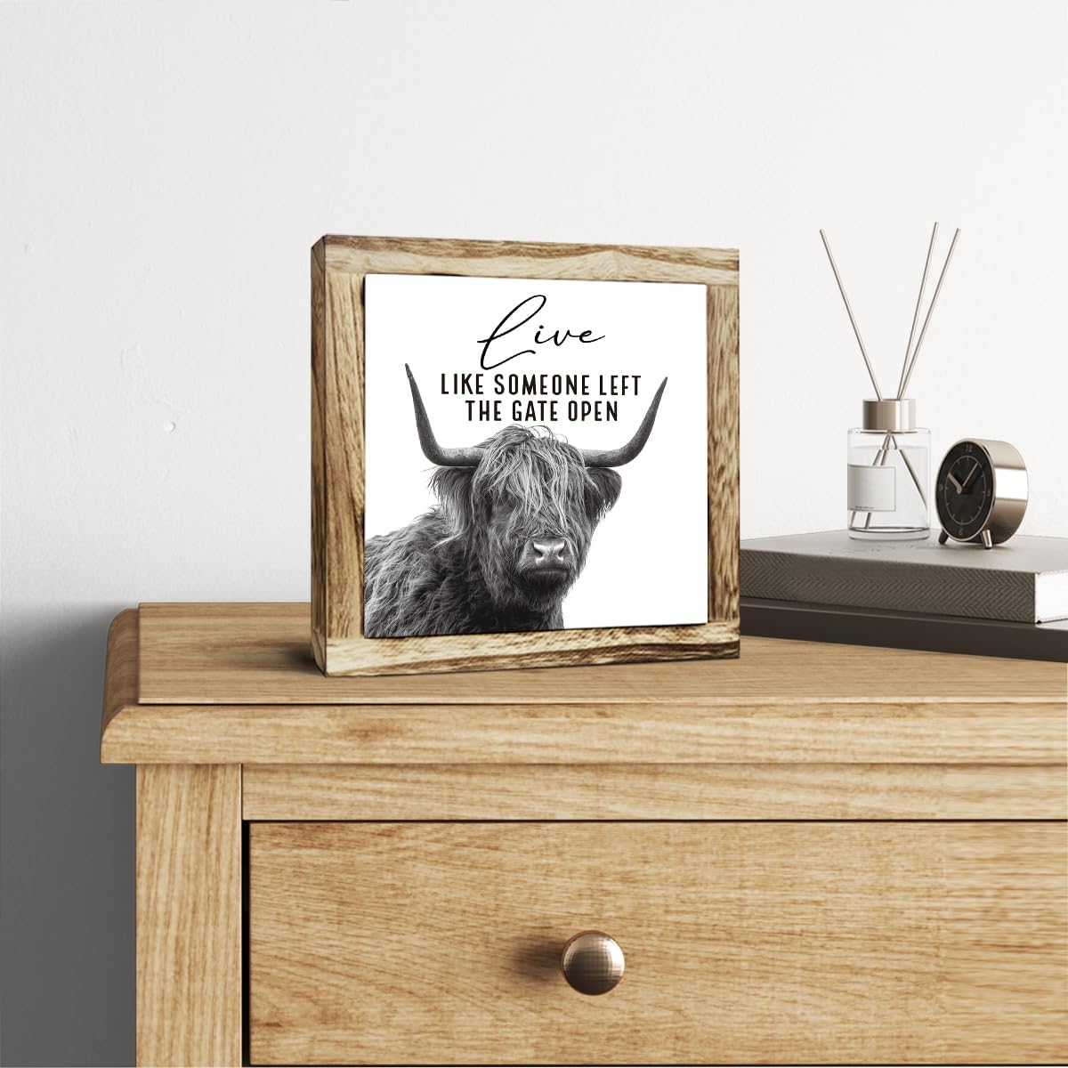 Funny Wood Sign, Cow Decor, Wooden Plaques Sign Table Decoration, Farmhouse Decorate for Shelf, Country Style Home Decor, Inspirational Decorate Signs, Live Like Someone Left the Gate Open Signs