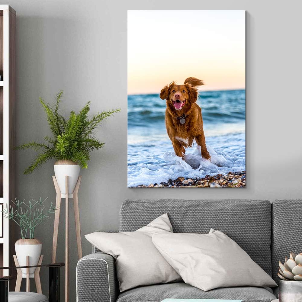 NWT Custom Canvas Prints with Your Photos for Pet/Animal, Personalized Pictures to Canvas for Wall Framed 10x8 inches