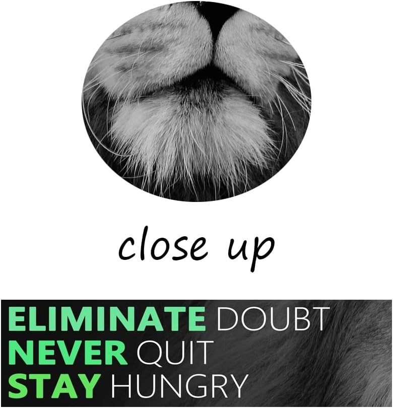 Motivational Poster Animal Inspirational Canvas Wall Art Lion Inspiring Canvas Prints Artwork for Office Living Room Modern Home Decor Painting Stretched and Framed Ready to Hang [18''Wx 12''H]