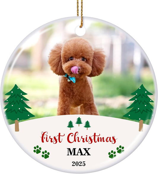 Valyria Personalized Christmas Ornament 2025 Custom Pet Memorial Gifts Photo Ornament Dog Cat First Christmas Ornaments Customized Xmas Tree Decorations Keepsake Gift for Dog Lovers, Pet Lovers
