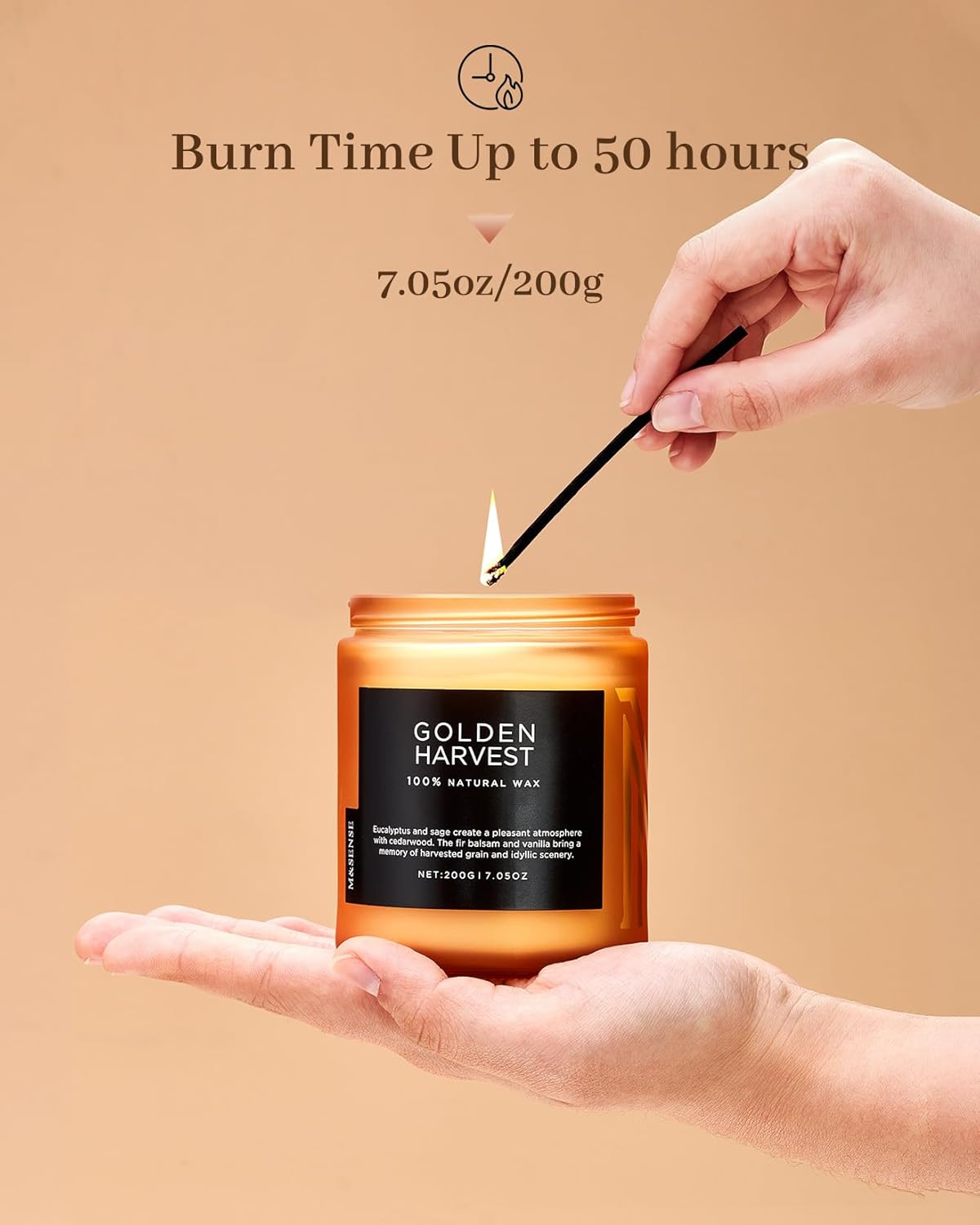 M&SENSE Golden Eucalyptus & Sage Highly Scented Candle, All Natural Soy Wax 2 Cotton Wick 7.05oz 50 Hours Slow Burning Candle Gifts for Birthday Holiday, Decorative for Home