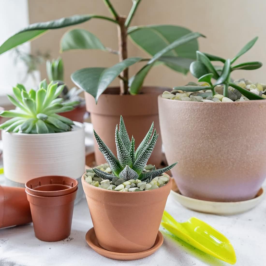 5LB Succulent and Cactus Pebbles, 1/5 Inch Jade Natural Decorative Polished Stones, River Rocks for Plants, Vases and Outdoor Gardening