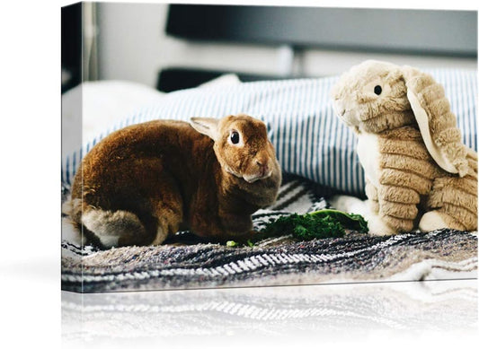 NWT Custom Canvas Prints with Your Photos for Pet/Animal, Personalized Canvas Pictures for Wall to Print Framed 11x14 inches