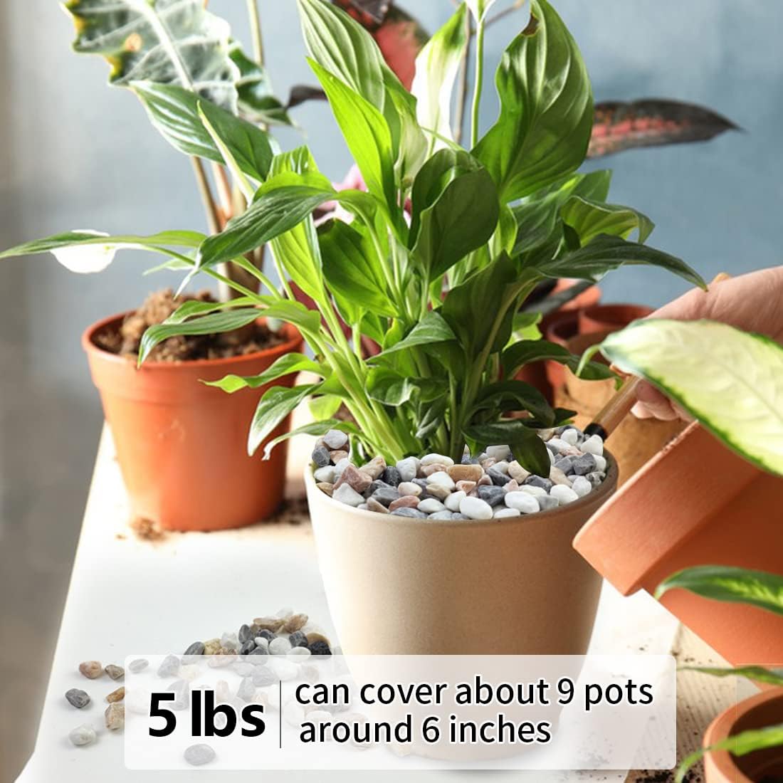 5LBS Succulent and Cactus Gravel Pebbles, 1/5 Inch Natural Decorative Polished Stones, River Rocks for Vases, Aquariums, Terrarium and Outdoor Gardening, Mixed Color