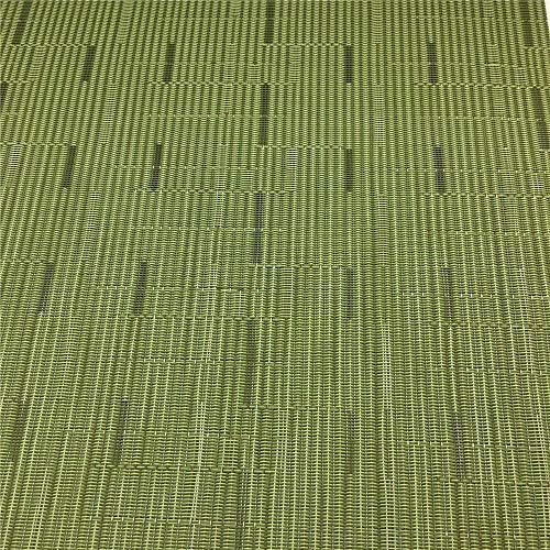 Red-A Placemats Set of 6 for Dining Table Heat-Resistant Washable Place Mats Woven Vinyl Kitchen Table Mats Easy to Clean,Green