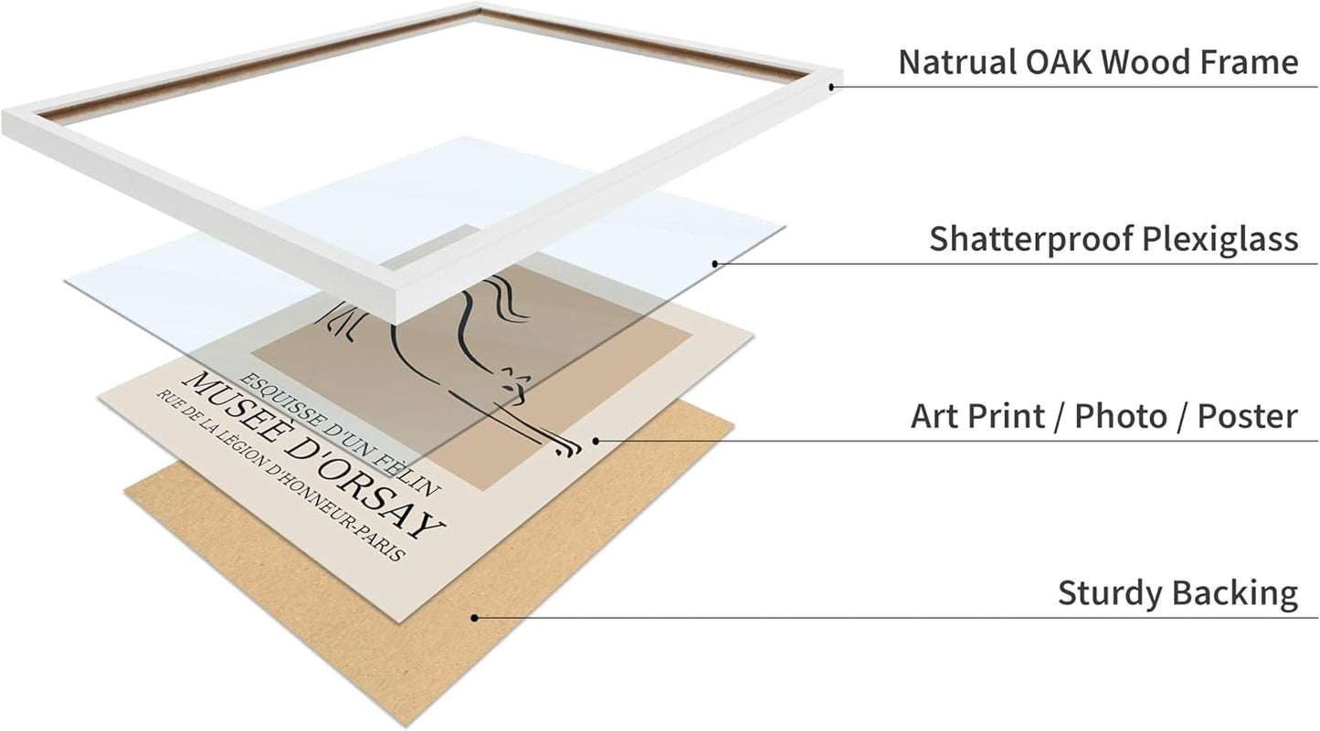 Poster Master Vintage Poster - Retro Minimalist Print - Gift for Artist, Housewarming - Cat, Line Drawing, Sketch, Abstract - Wall Decor for Living Room, Bedroom, 8x10 White Framed
