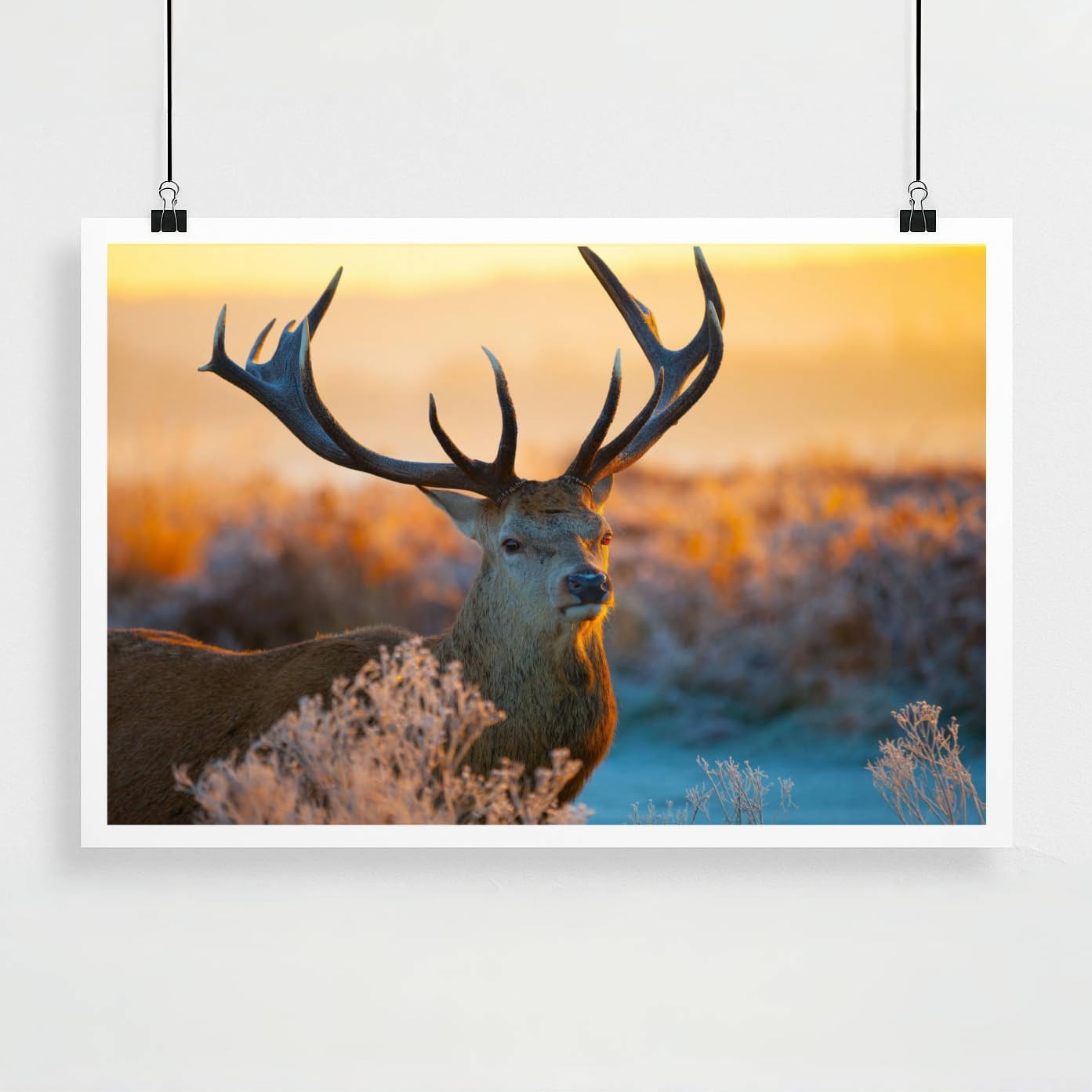 Personalized Custom Poster Prints: 12L x 18W Photo On Canva Transform Your Photos into Stunning Unframed Wall Art Digitally Printed (12L x 18W, Unframed)