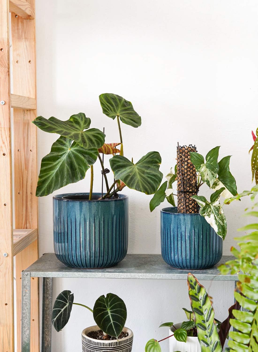 LE TAUCI Fluted Ceramic Planters Set of 3 – 8.3/7 / 5.7 in Ocean Blue Reactive Cylinder Indoor Plant Pots with Drainage Plug & Mesh, Glossy Stoneware Flower Pots for Succulents Herbs