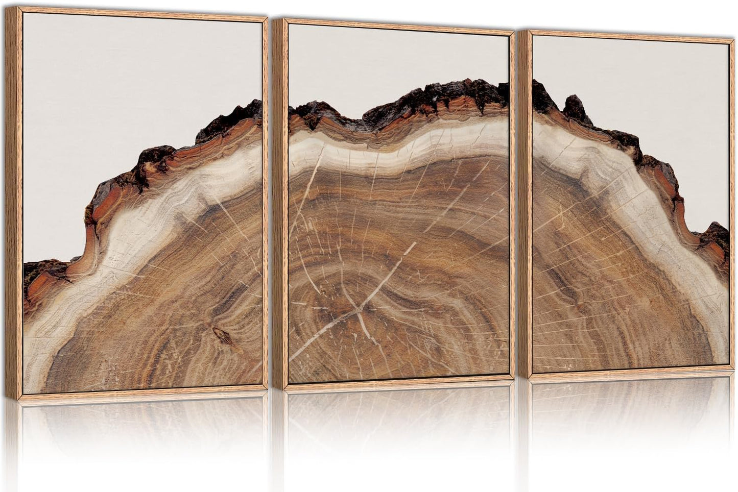 HPINUB Tree Rings Wood Wall Art Framed Set, Modern Beige Wood Stump Wall Decor, Abstract Tree Spiral Wall Painting,Nature-Inspired Art Print for Living Room, Bedroom, Dining Room, Office-16 x24 x3