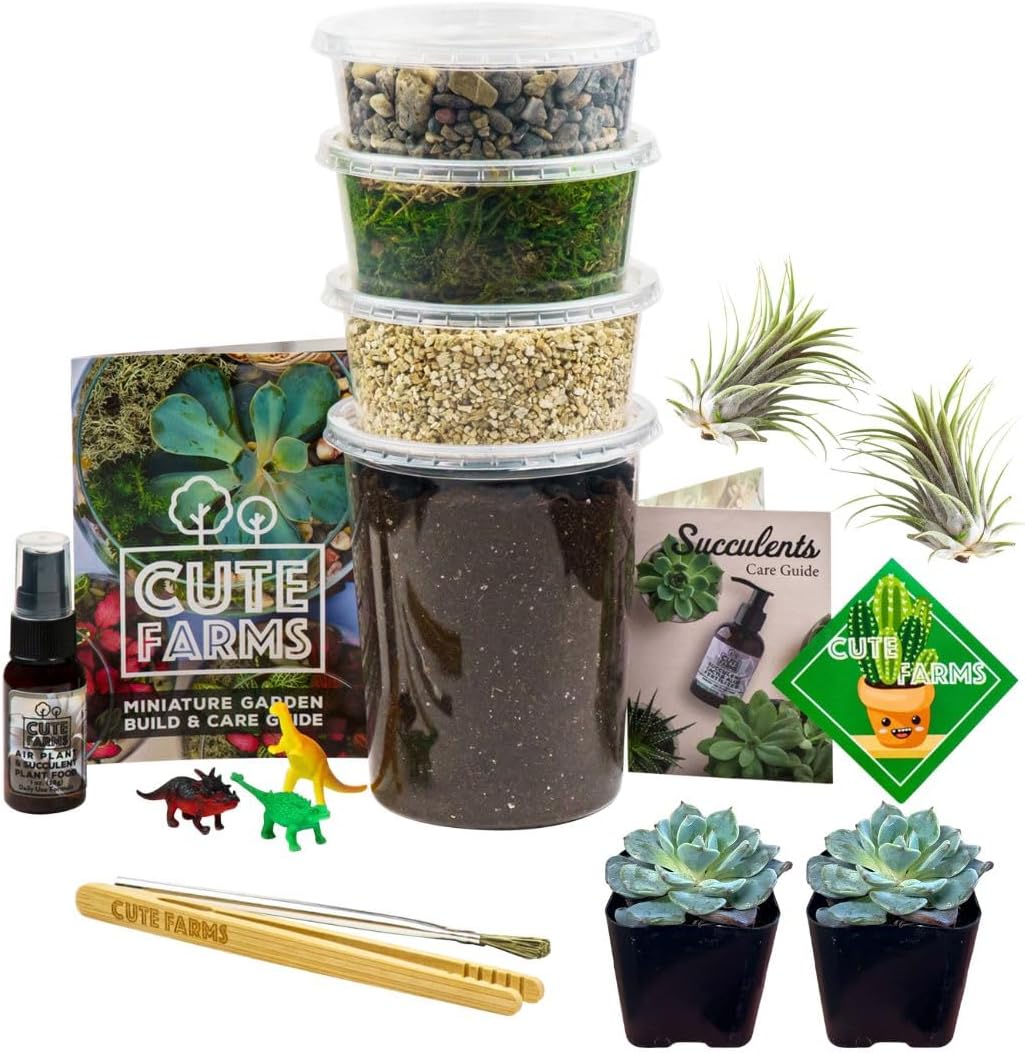 Cute Farms Terrarium Starter Kit | Moss, Vermiculite, Soil, Pebbles, Plant Food, Finishing Tools, Build and Care Guide | DIY Succulent Terrarium for Adults and Kids (Large + Live Plants)