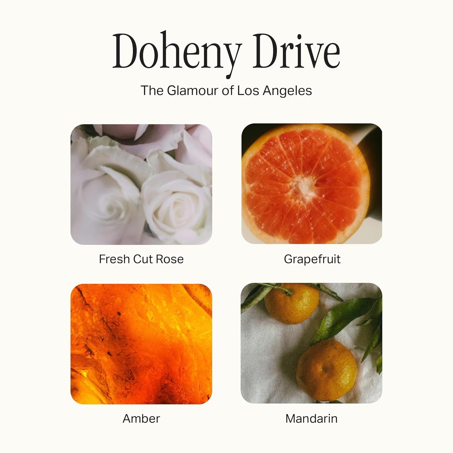 The Scented Candle, Luxury Candle with Vegan Soy Wax Blend, Doheny Drive, 7.5 Oz