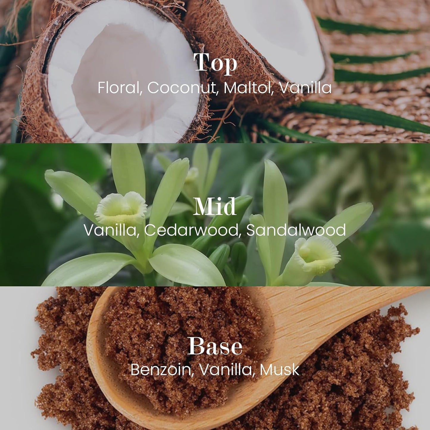 M&SENSE Natural Soy Candle| Vanilla Sandalwood | 8.82 oz, 50H Burn | Minimalist Scented Candle for Relaxation, Gifting, Home Décor | for Bedroom, Office, Party Medium