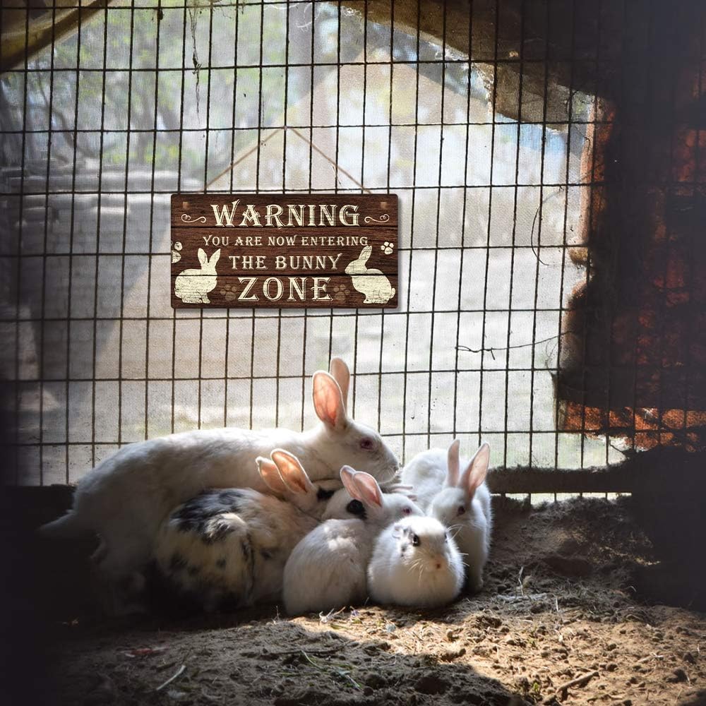 Putuo Decor Funny Rabbit Sign Bunny Rabbit Home Decor Gift Bunny Mom Bunny Lover 12 x 6 Inch (The Bunny Zone) Easter Decorations