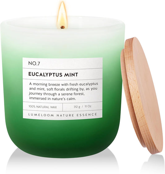Eucalyptus & Mint Scented Candle, 11oz Aromatherapy Soy Wax Candles for Home Scented, Long Lasting, Eucalyptus Scent, Green Color, Gift for Women, Men, Sisters, Relaxation & Stress Relief