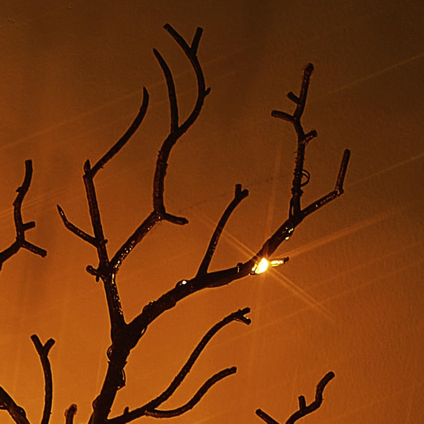 Birchlitland Halloween Branch Lights with Timer Battery Operated 75 LED Orange Fairy Lights, Lighted Black Willow Branches 21IN for Home Decor