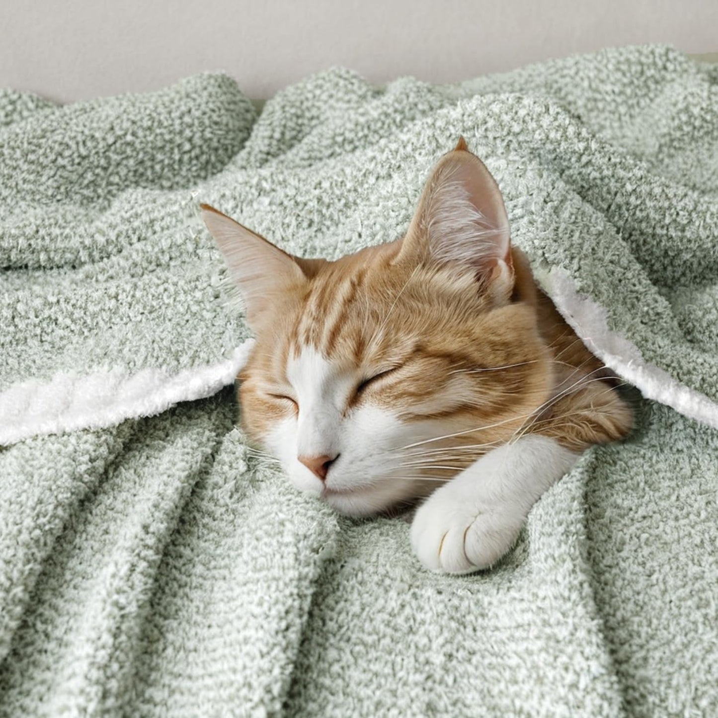 MIULEE Sage Green Super Soft Throw Blanket for Couch, Cozy Fluffy Warm Throws Knit Blankets for Sofa, Bed, Chair, Living Room, Camping, Picnic, Spring Home Decor,50 x 60 inch