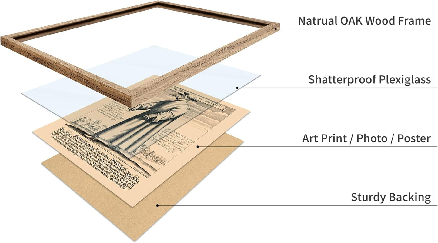 Poster Master Vintage Medieval Poster - Retro Illustration Print - Gift for Friend - Plague Doctor, Pandemic Mask, Physician, Black Death - Wall Decor for Home, Living Room, 11x14 Beige Framed