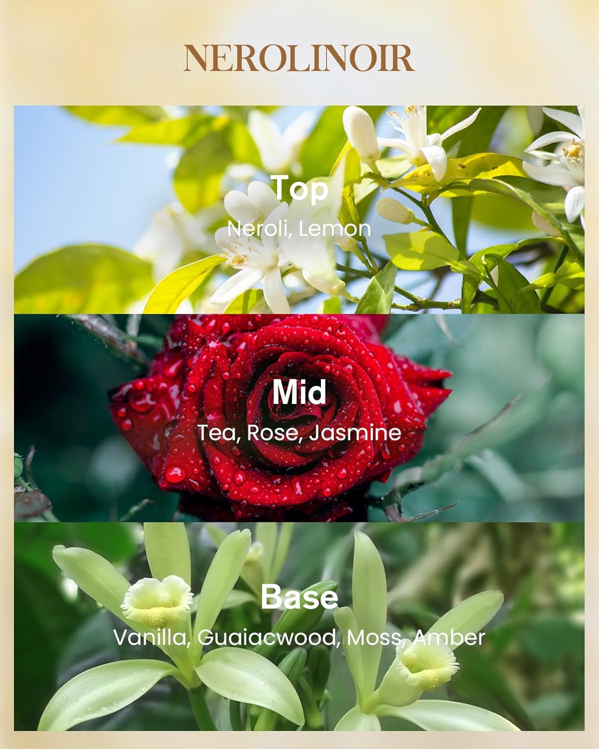 M&SENSE Neroli Noir Scented Candle 3 Wick 35oz 150H Long Lasting, Natural Soy Candles Stress Relief Calm Home Fragrance Housewarming Gifts