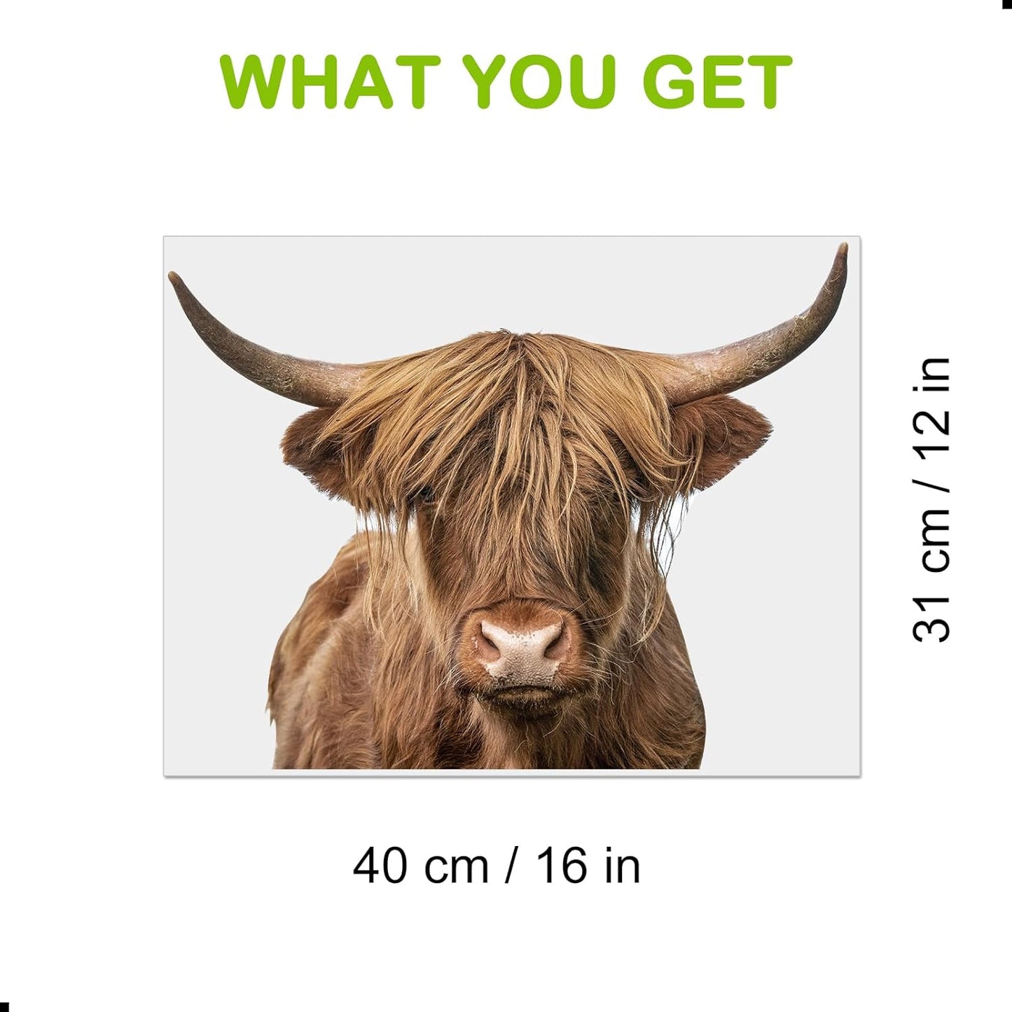 Highland Cow Wall Window Stickers Decor Scottish Cow Wall Decals Peel and Stick Funny Cow Wall Stickers Removable Cool Cow Farmhouse Kitchen Decoration Weird Gifts for Fiends Christmas