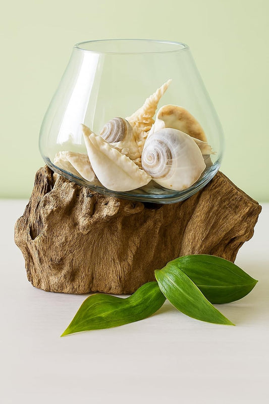 OMA Molten Glass on Driftwood – Hand Blown Vase, Terrarium, or Planter for Coastal & Boho Home Décor Centerpieces (6" - 7" High)