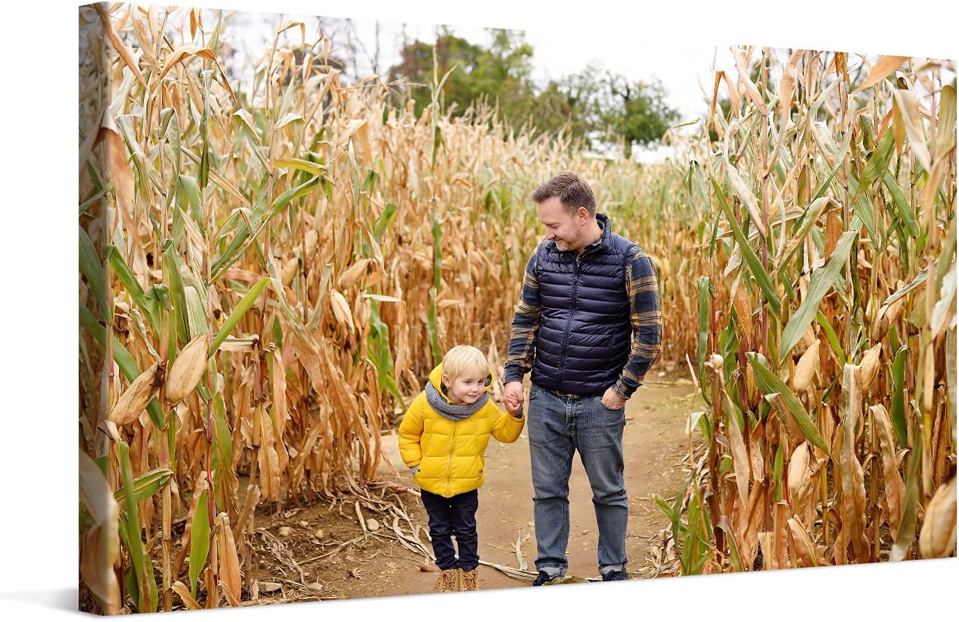 Photo.Gifts - Custom Prints Personalized Canvas 14"x8" - Your Photos On Canvas - Personalized Wall Art for Living Room, Wedding Baby Pet Family Pictures - Custom Gifts