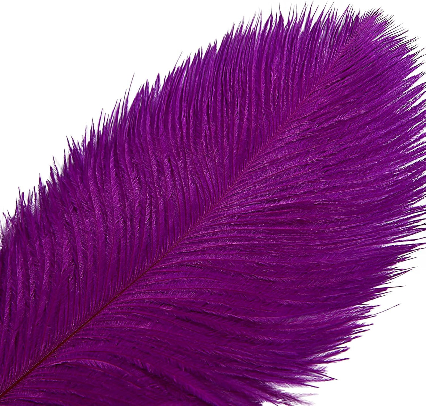 THARAHT Purple Ostrich Feathers 12pcs Large Natural Bulk 20-22Inch 50cm-55cm for Wedding Party Centerpieces Easter Gatsbi and Decoration Feather