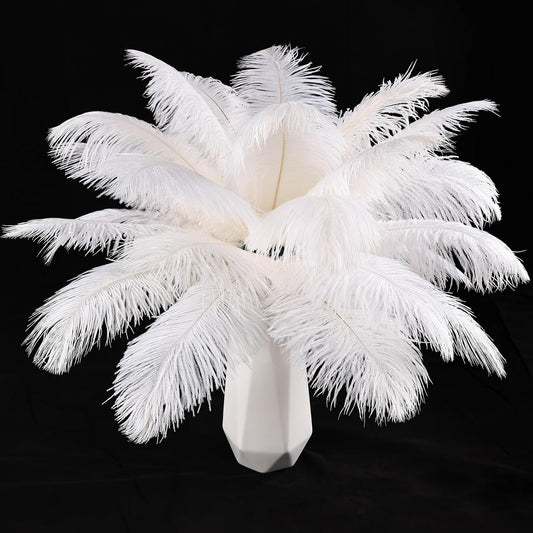 THARAHT White Ostrich Feathers 12pcs Natural Bulk 8-10Inch 20cm-25cm for Crafts Wedding Party Centerpieces Christmas Tree Decoration Feathers