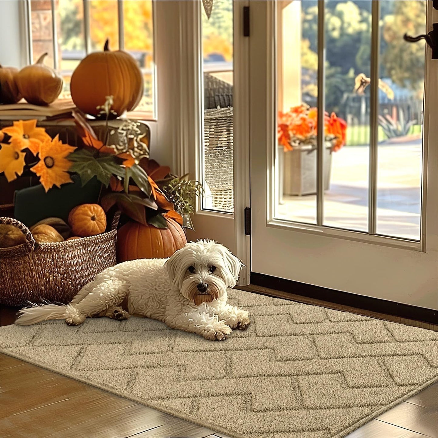 hicorfe Indoor Door Mat,Non Slip Door Mats,32"x48" Front Back Door Mat Rubber Backing,Absorbent Resist Dirt Entrance Inside Floor Mats for Entryway Washable Low-Profile(Beige)