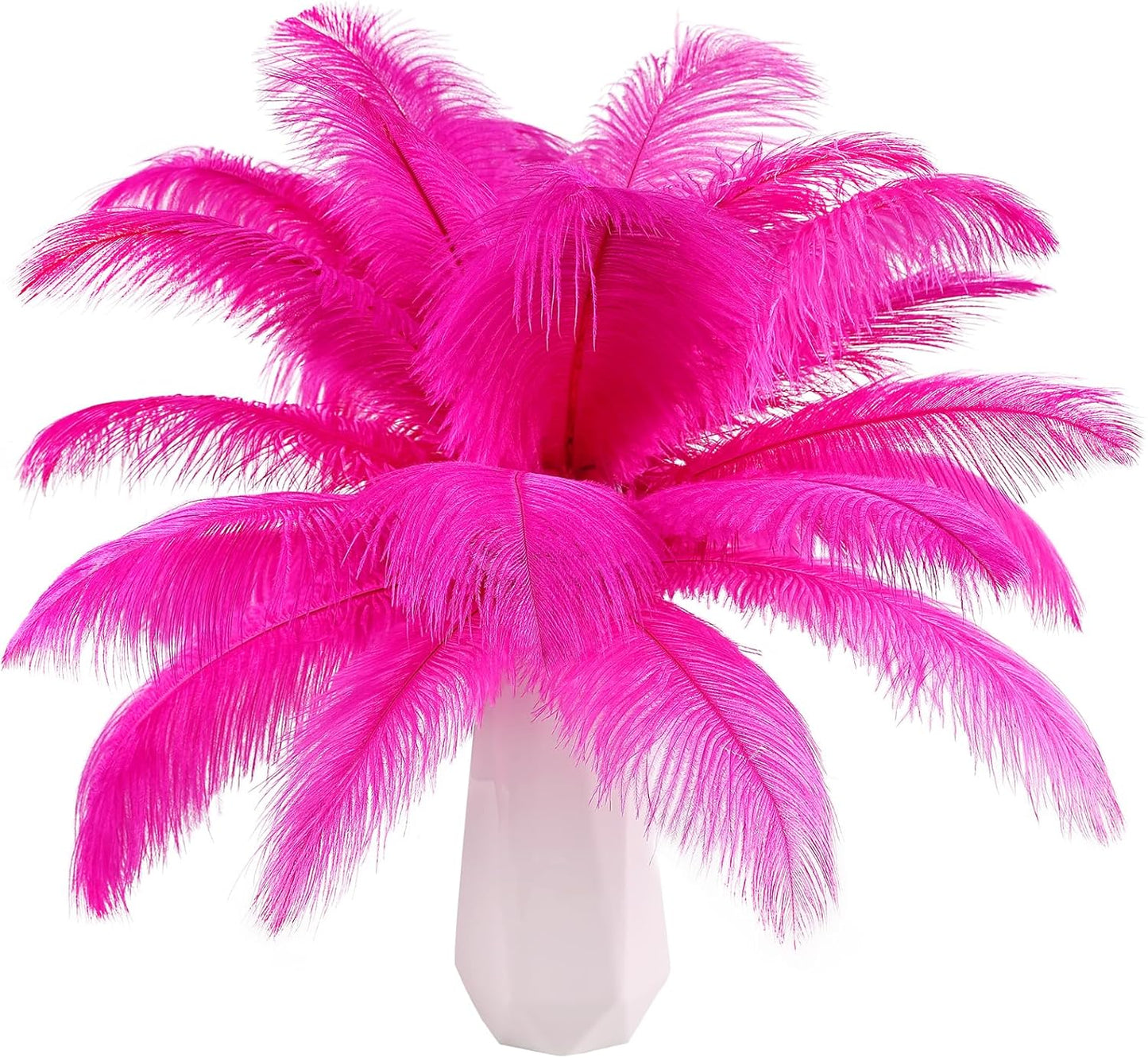 THARAHT Hot Pink Ostrich Feathers 12pcs Natural Bulk 10-12Inch 25cm-30cm for Crafts Wedding Party Centerpieces Easter Gatsbi and Home Decoration Feathers