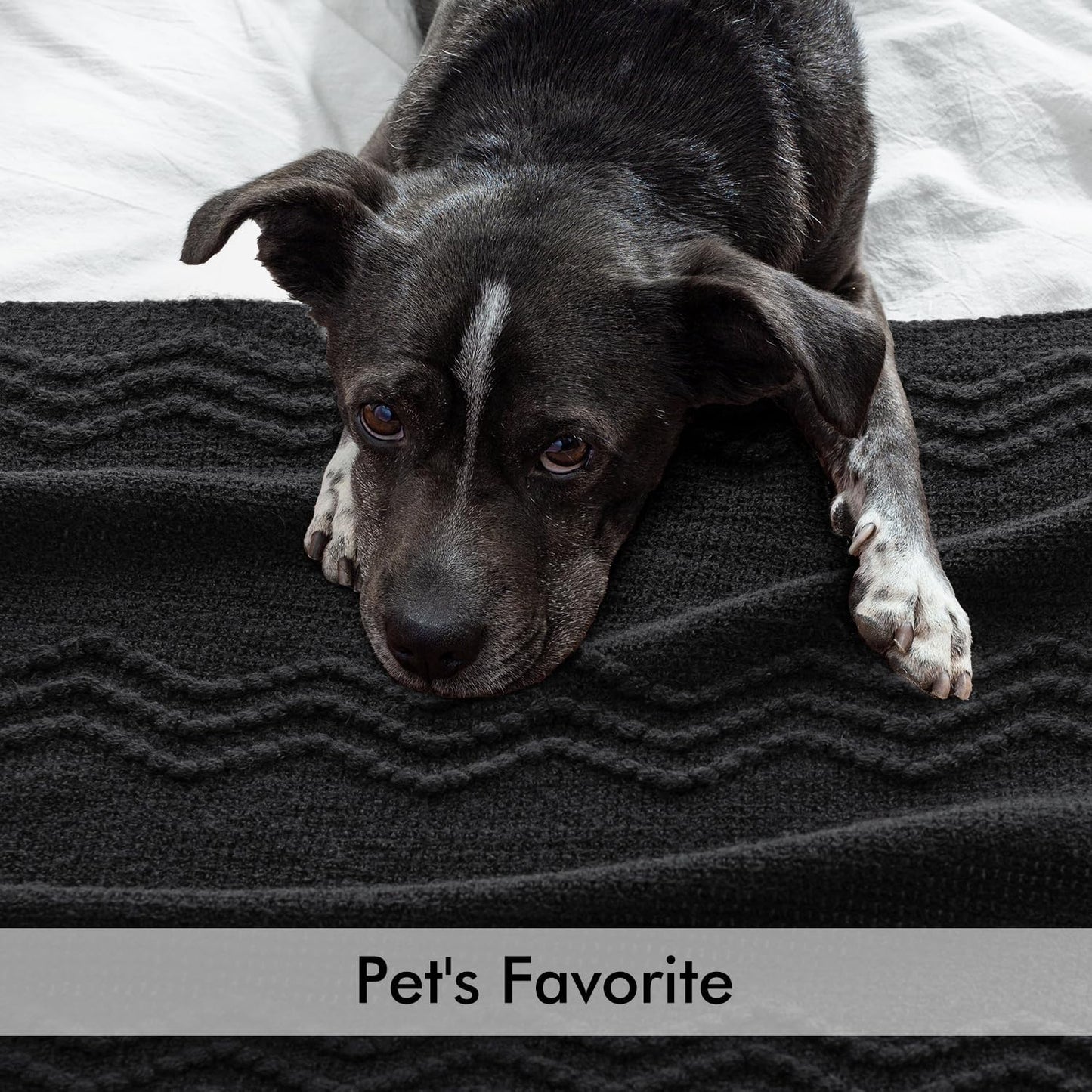 MIULEE Black Knitted Throw Blanket for Couch Textured Knit Blanket with Tassels Cozy Woven Boho Bed Blanket for Sofa Bed Chair Acrylic Wave Pattern 50"x60"