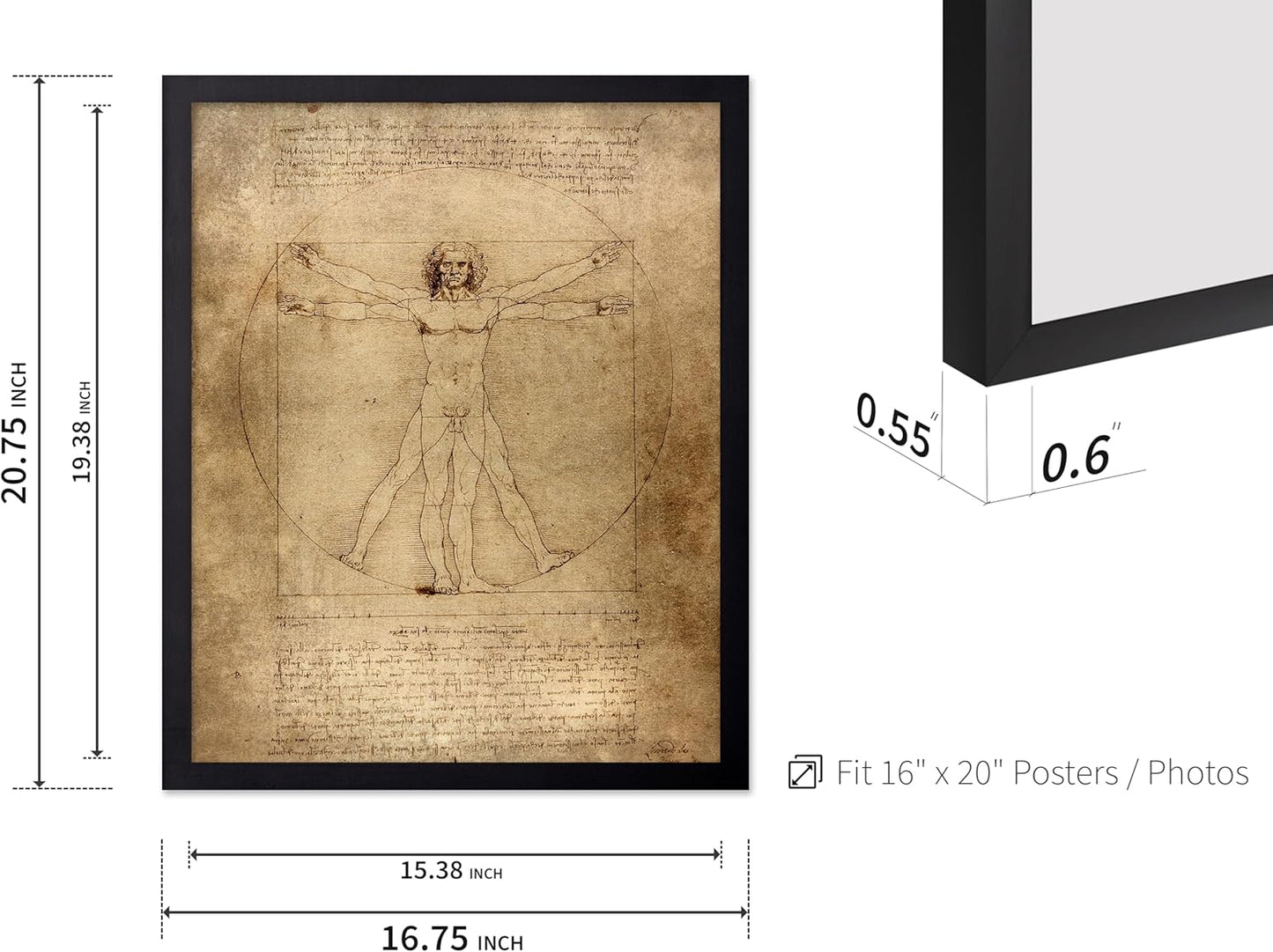 Poster Master Classic Leonardo Da Vinci Poster - Vintage Renaissance Print - Gift for Artist, Friend - Vitruvian Man, Proportion, Symmetry, Human Body - Wall Decor for Office, 16x20 Black Framed