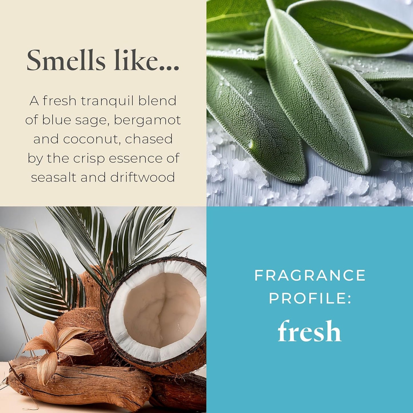 PartyLite Sea Salt & Sage Scented, Notes of Salted Air, Sea-Soaked Sage, Driftwood, Coconut and Sandalwood, 13.2oz 3-Wick Jar Candle, 45 Hour Burn Time, Luxurious Fragrance, Perfect for Gifting