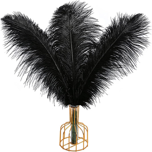 THARAHT Black Ostrich Feathers 12pcs Large Natural Bulk 16-18Inch 40cm-45cm for Wedding Party Centerpieces Halloween and Home Decoration Feathers