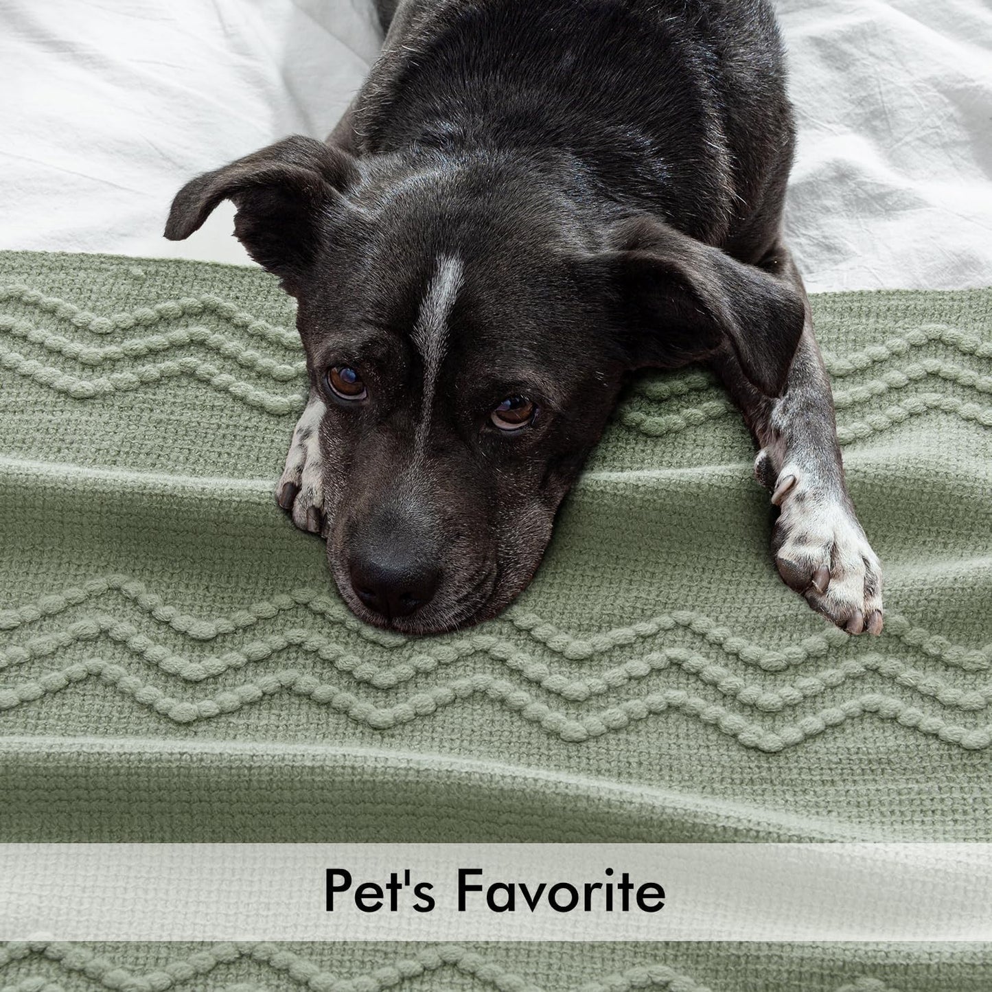 MIULEE Sage Knitted Throw Blanket for Couch Boho Green Textured Cozy Woven Decorative Farmhouse Blanket with Tassels for Sofa Chair Bed Living Room, Lightweight Spring Home Decor 50"x60"