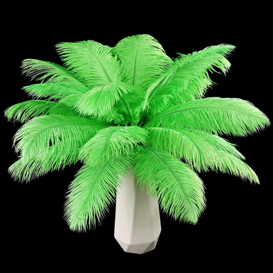THARAHT Green Ostrich Feathers 24pcs Natural Bulk 10-12Inch 25cm-30cm for Crafts Wedding Party Centerpieces Mardi Gras and Home Decoration Feathers
