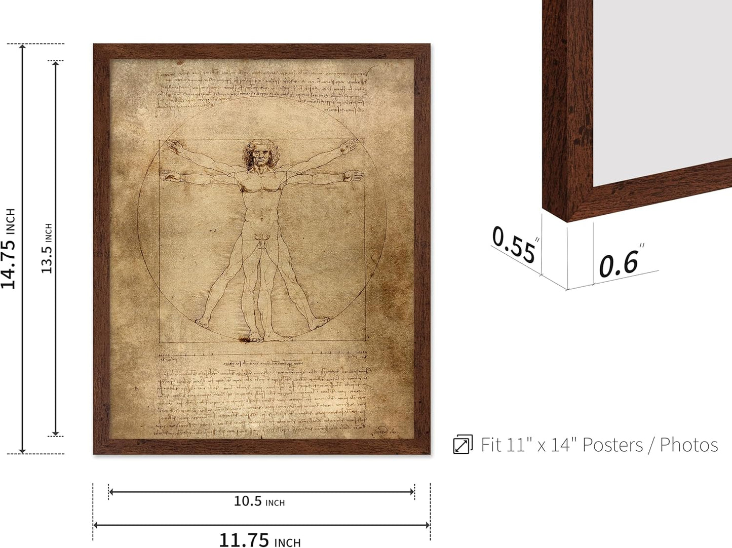 Poster Master Classic Leonardo Da Vinci Poster - Vintage Renaissance Print - Gift for Artist, Friend - Vitruvian Man, Proportion, Symmetry, Human Body - Wall Decor for Office, 11x14 Brown Framed