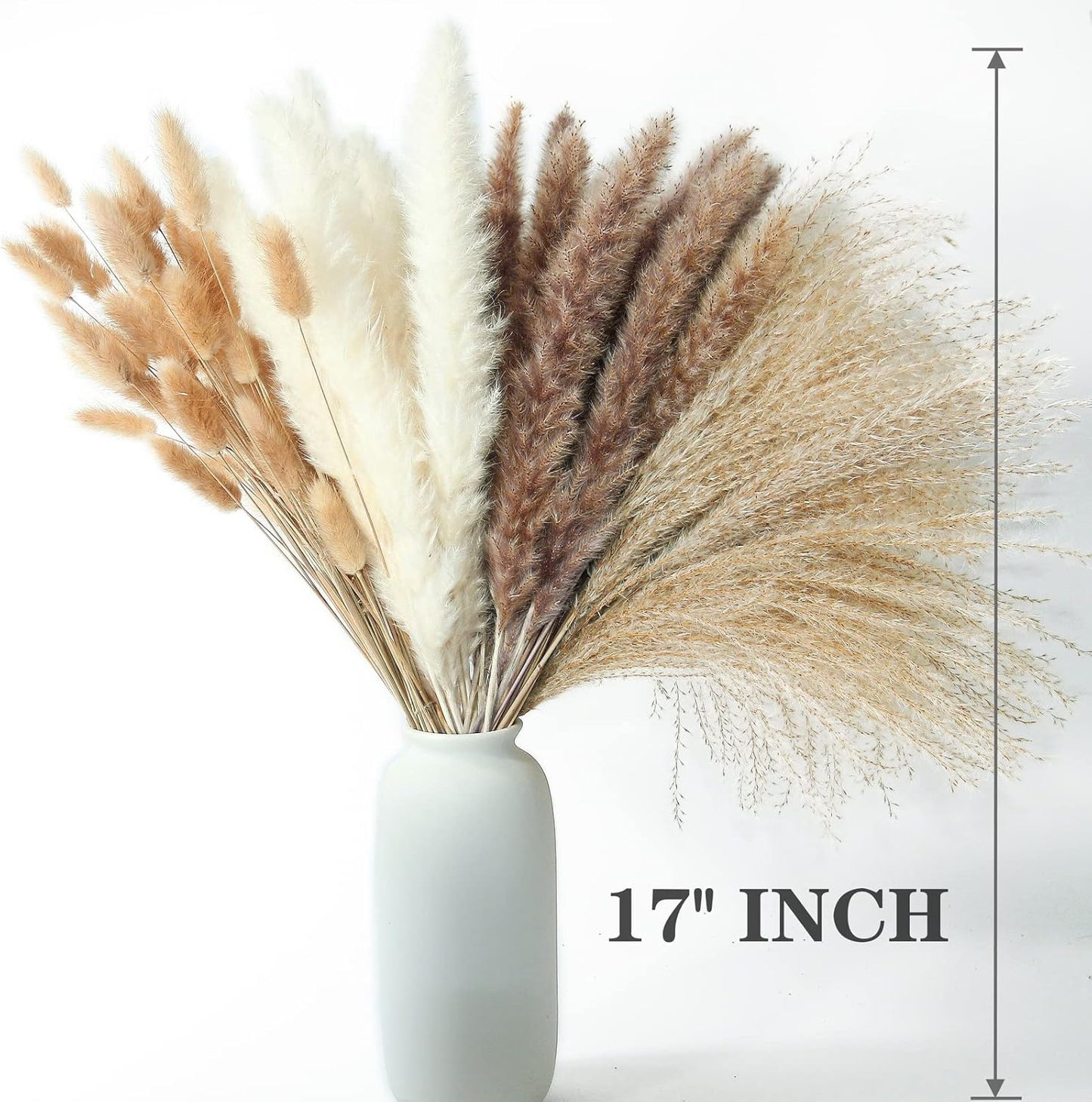 240 PCS Dried Flower Bouquet – Pampas Grass, Floral Decor for Home, Wedding, and Boho Style | Perfect for Vases, Fall, Spring, Summer, and Winter Arrangements