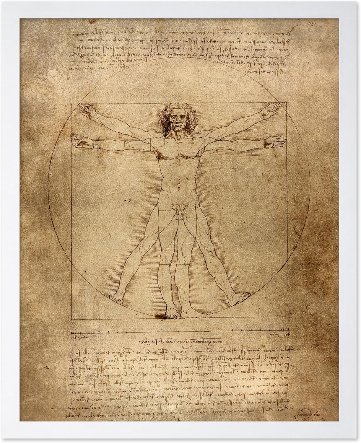 Poster Master Classic Leonardo Da Vinci Poster - Vintage Renaissance Print - Gift for Artist, Friend - Vitruvian Man, Proportion, Symmetry, Human Body - Wall Decor for Office, 8x10 White Framed