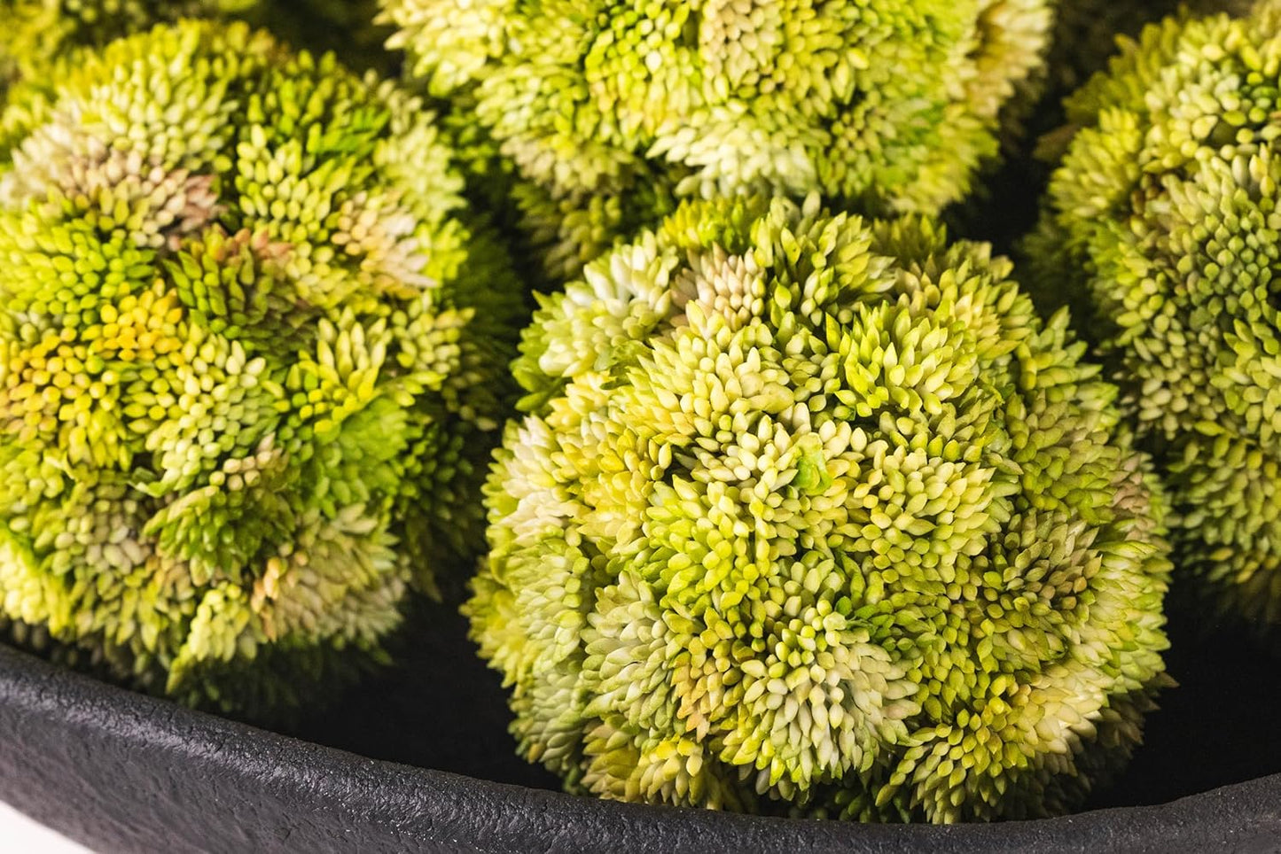 Balls and Pedestal Bowl Set Textured Black Ceramic Decorative Bowl with Succulent Balls for Counter Top, Farmhouse Table Centerpiece, Living Room, Kitchen Decor