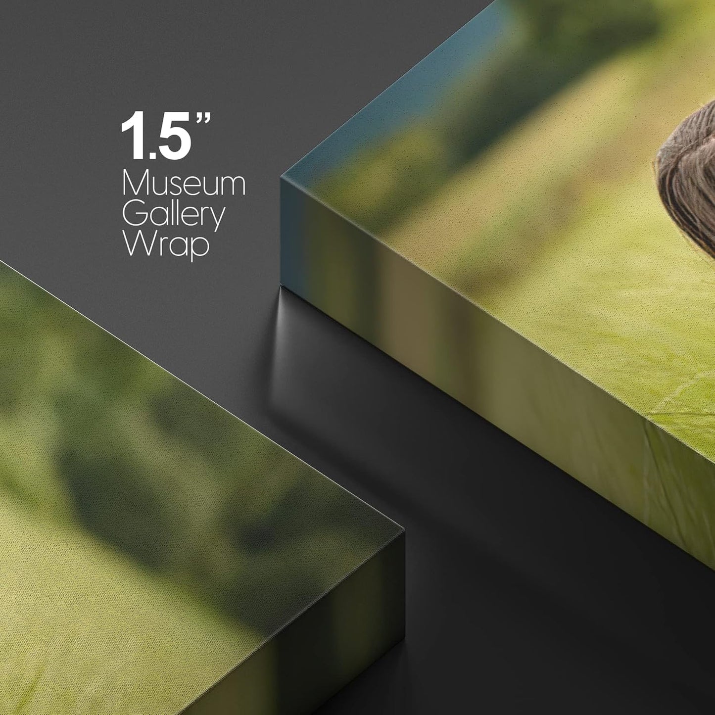 wall26 Custom Canvas Wall Art, Personalized Photo to Canvas - 24"x36"