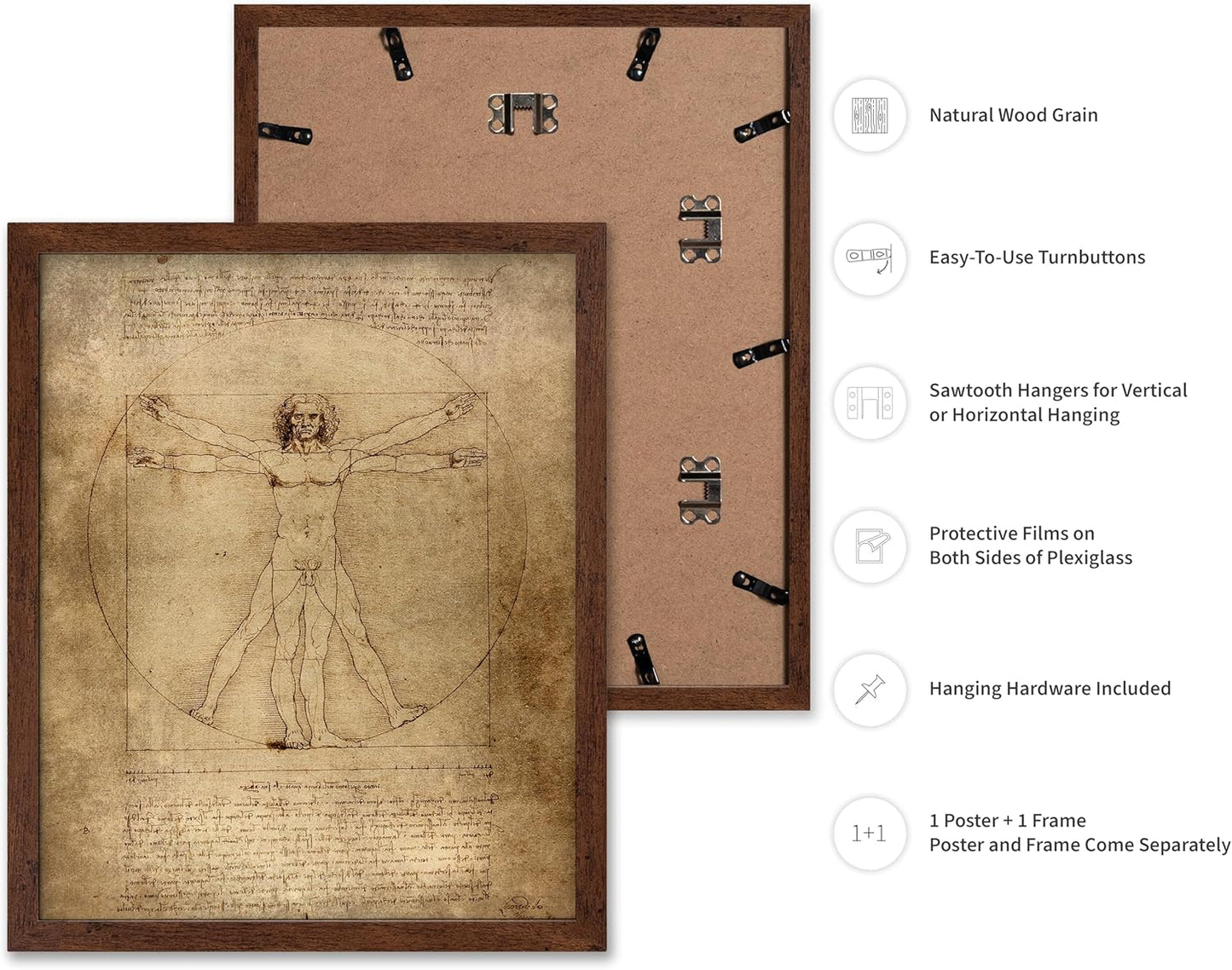 Poster Master Classic Leonardo Da Vinci Poster - Vintage Renaissance Print - Gift for Artist, Friend - Vitruvian Man, Proportion, Symmetry, Human Body - Wall Decor for Office, 16x20 Brown Framed